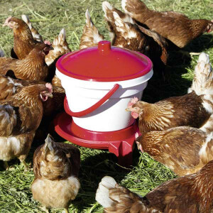 Cyrank 20 Stück automatischer Küken-Wassernapf Hühner Truthühner für Tauben Blau Vogel-Hühner-Tränke-Schüssel aus Kunststoff Wachteln Küken-Wasser-Trinkbecher Gänse 