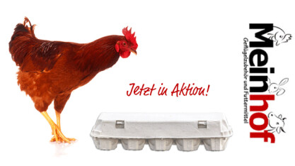  Jetzt in Aktion - 10er Eierverpackung neutral, 154 Stück jetzt für 24,99 € - Aktion: 10er Eierverpackung neutral,154 Stk. [24,99 €]  | Meinhof