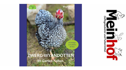 NEU bei uns – Zwerg-Wyandotten im Garten von Birgit Maier, Buch für 19,99 € - NEU bei uns – Zwerg-Wyandotten im Garten von Birgit Maier, Buch für 19,99 €