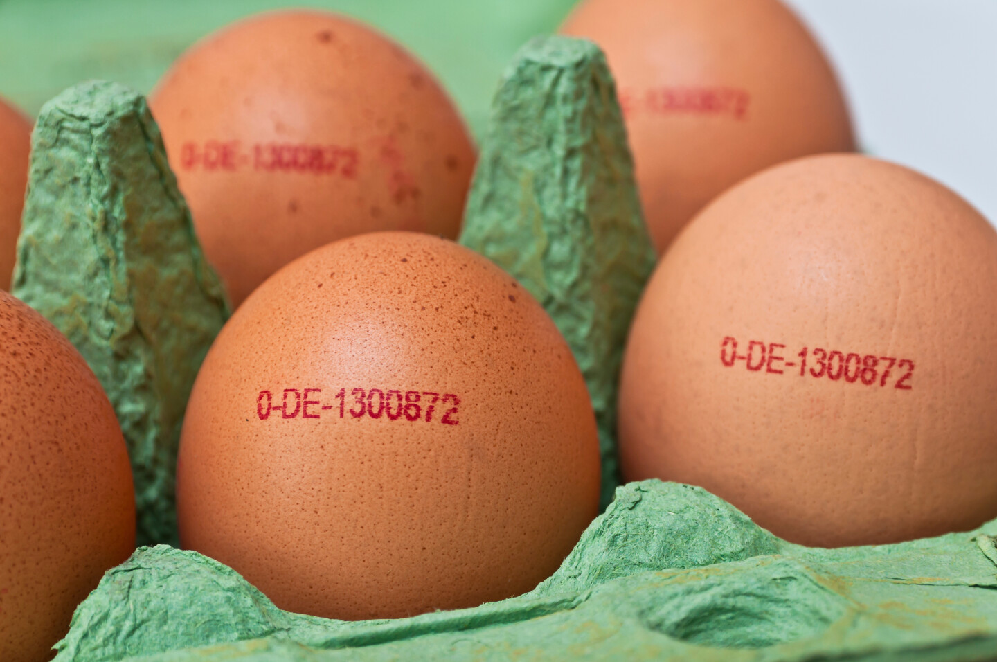 Eierschachtel mit Eiern mit Eiercode