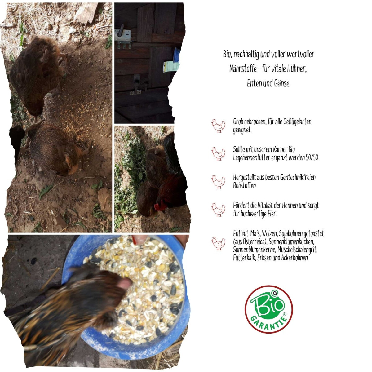Karner Bio Gefl&uuml;gelk&ouml;rnermix 25 kg