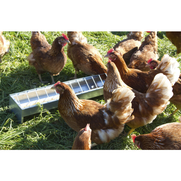 Futtertrog für Geflügel Hühner verzinkt 10 x 75 cm Geflügeltrog Hühnertrog Trog 