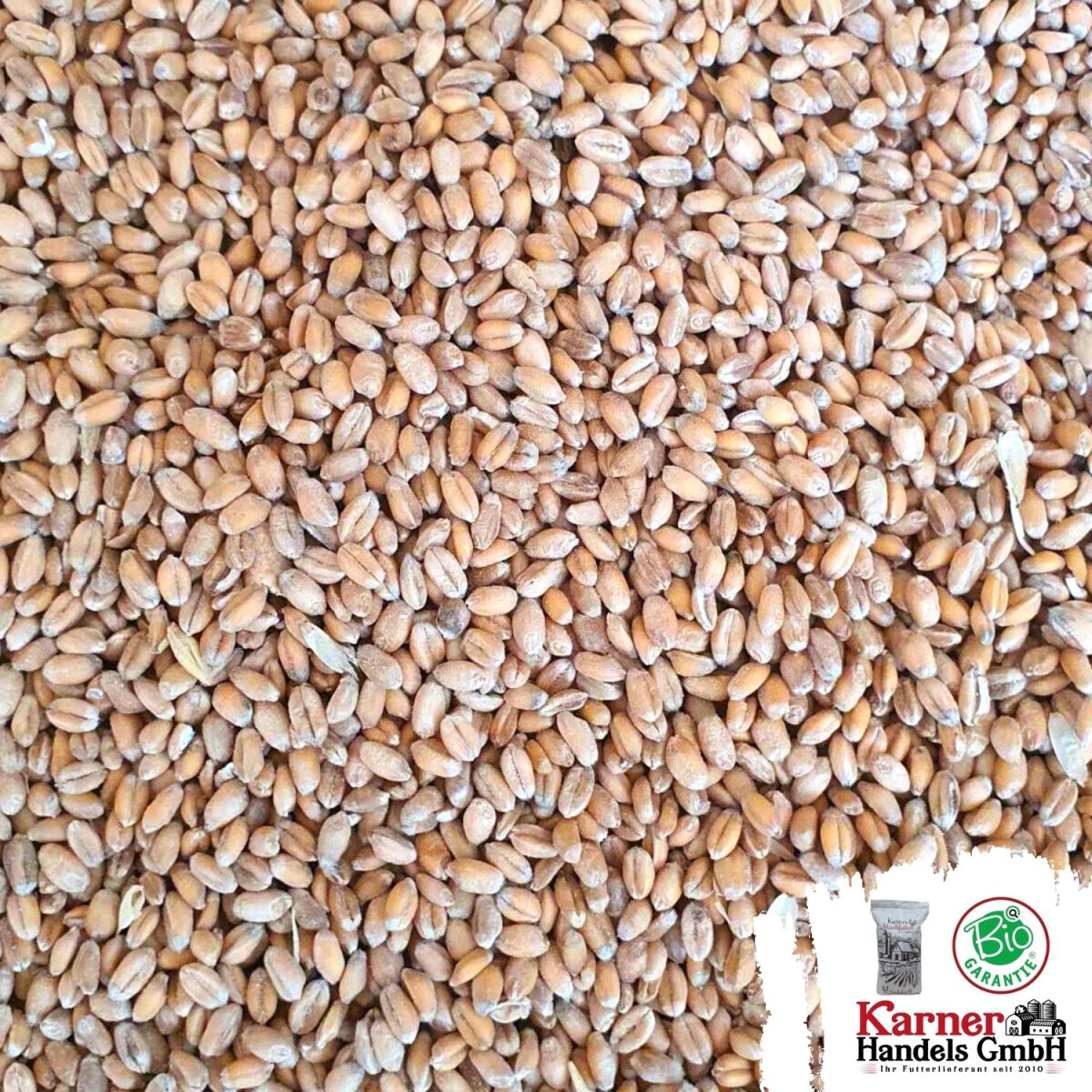 Karner Bio Futter-Weizen 25 kg