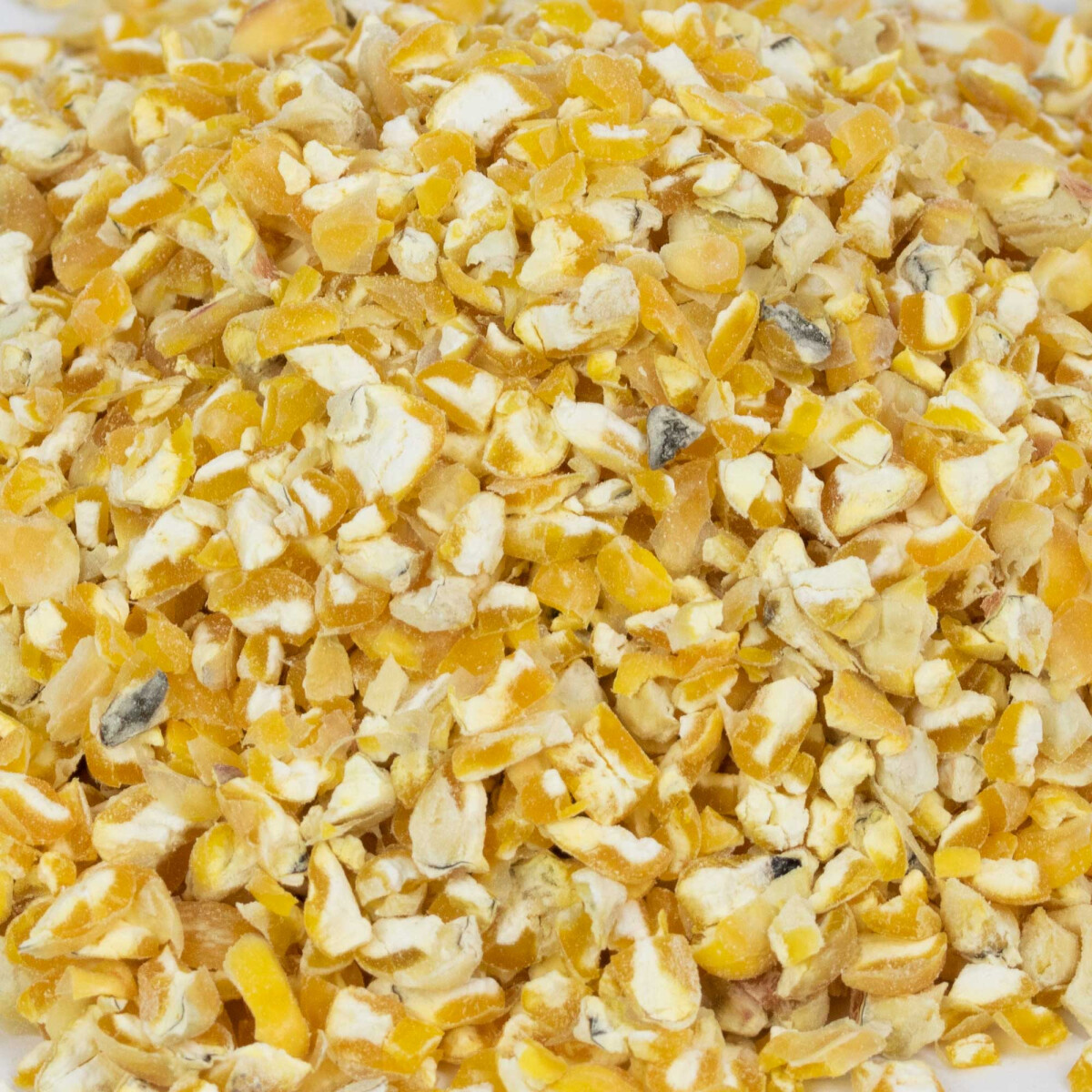 Bio Maisschrot 25 kg