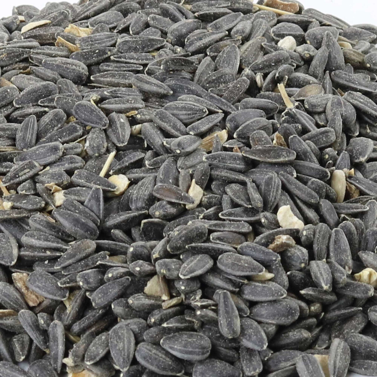 Bio Sonnenblumenkerne 6 kg