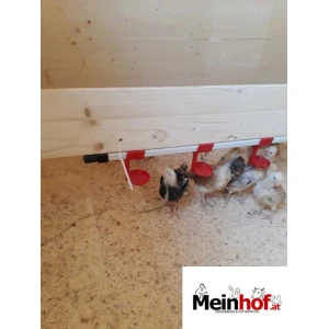 Nippeltr&auml;nke f&uuml;r Gefl&uuml;gel
