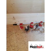 Nippeltr&auml;nke f&uuml;r Gefl&uuml;gel bis 10 Tiere