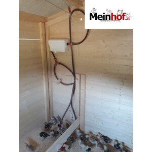 Nippeltr&auml;nke f&uuml;r Gefl&uuml;gel bis 20 Tiere