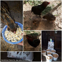 Bio Gefl&uuml;gelk&ouml;rnermix 375 kg