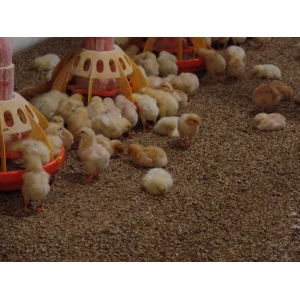 Strohgranulat f&uuml;r Gefl&uuml;gel &amp; Nager, gesackt auf Palette 500 kg