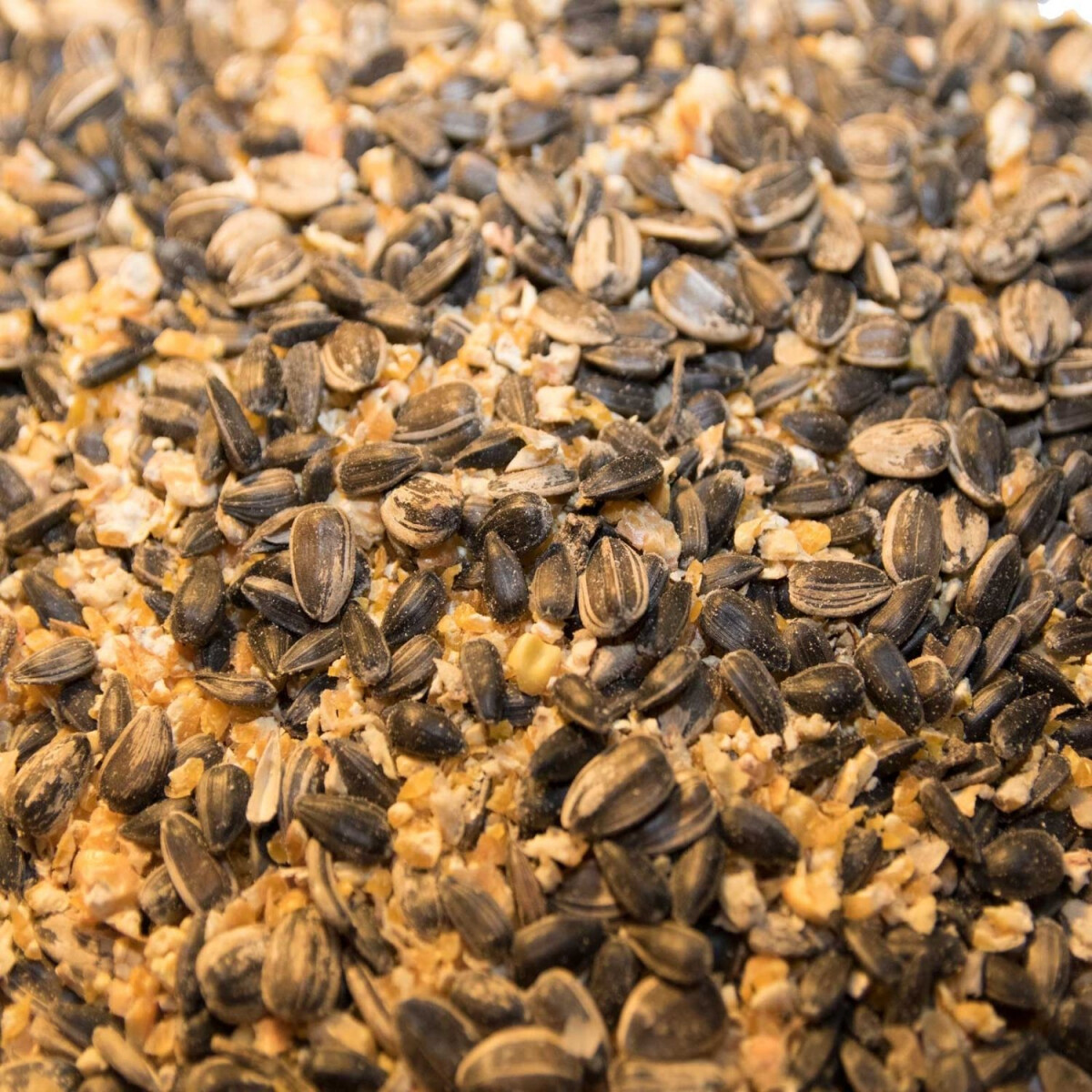 Karner Bio Vogelfutter im 20 kg Sack