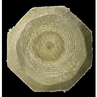 Octo Wood Streckenpfahl &Oslash; 80 mm versch. L&auml;ngen