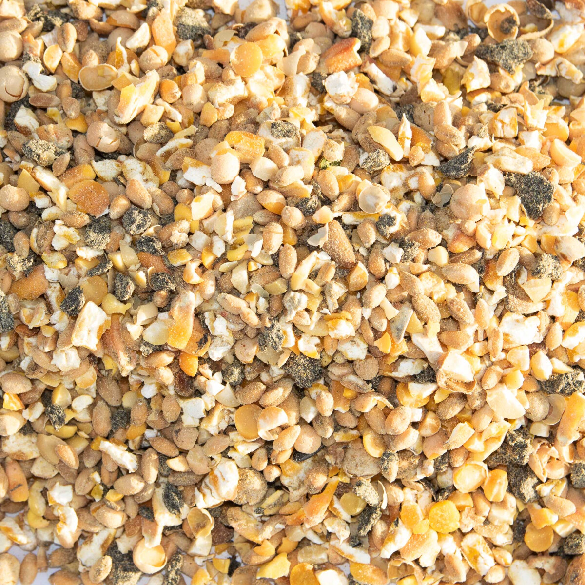 Bio Legehennenfutter SPEZIAL - OHNE SOJA 20 kg
