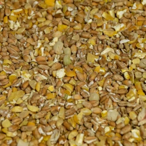 Karner Bio Legekorn, extra grob gesackt auf Palette