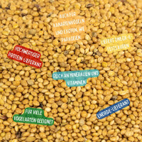 Karner Hirse gelb im 25 kg Sack