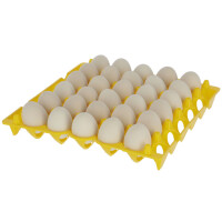 Eieraufbewahrung aus Kunststoff f&uuml;r 30 Eier