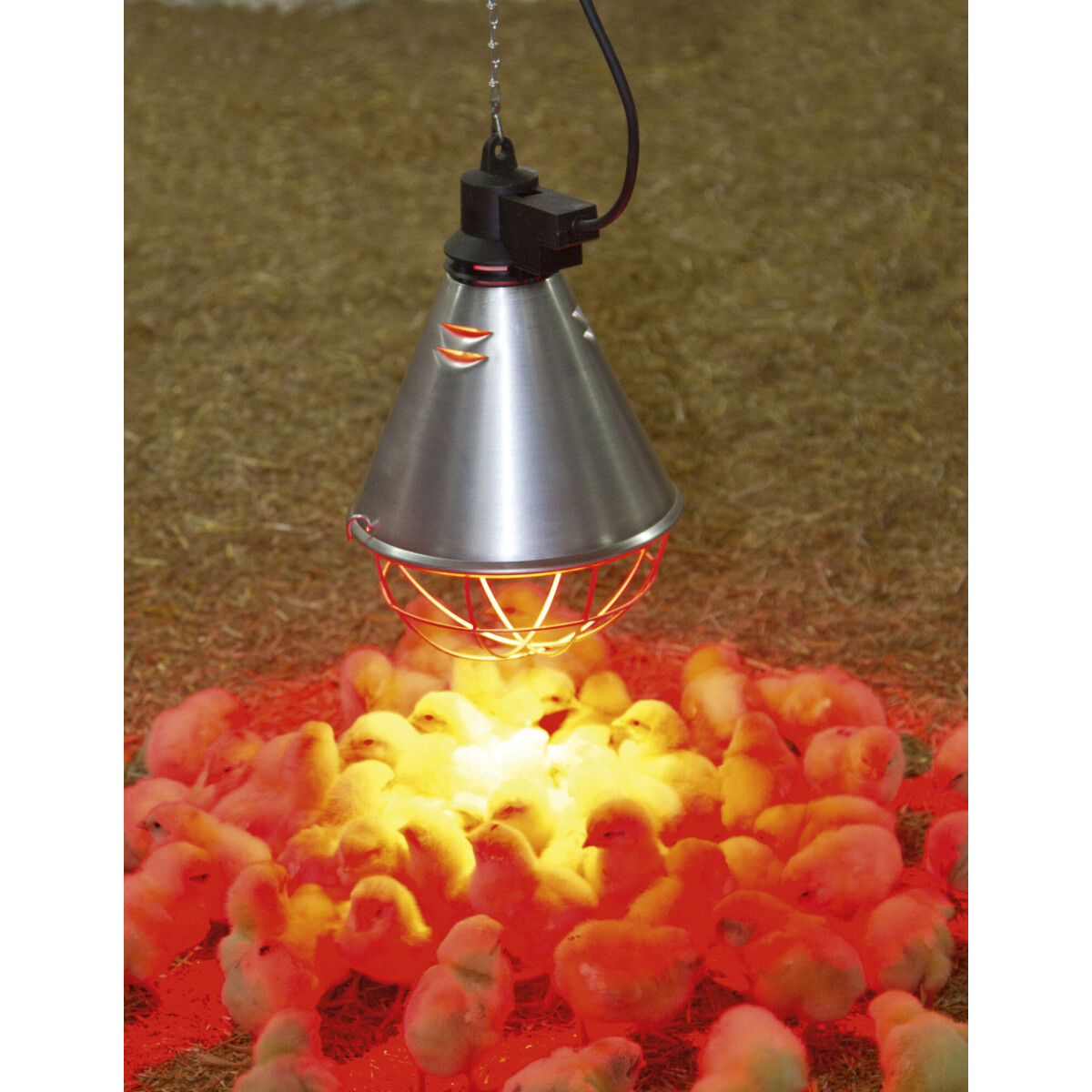 Infrarot-W&auml;rmestrahlger&auml;t Alu mit 5 m Kabel + Infrarot-Sparlampe rot 100 W