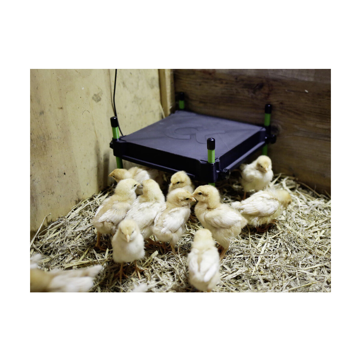 W&auml;rmeplatte CosyHeat f&uuml;r K&uuml;ken 30 x 30 cm, 25 Watt