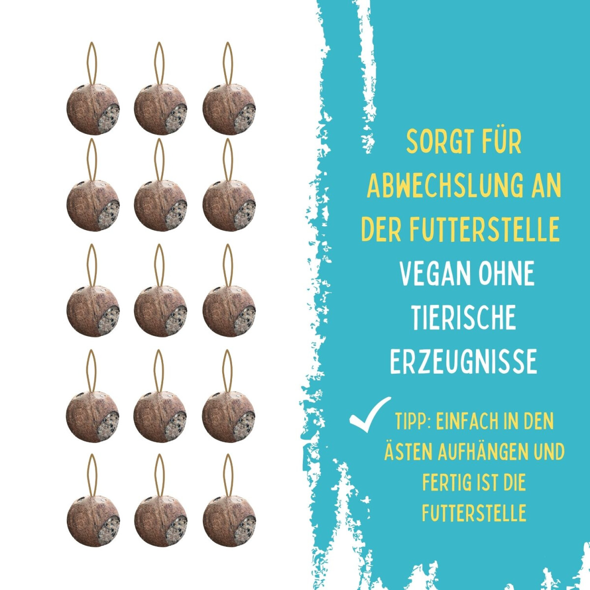Kokosnuss mit 3 L&ouml;chern gef&uuml;llt, 15 Stk