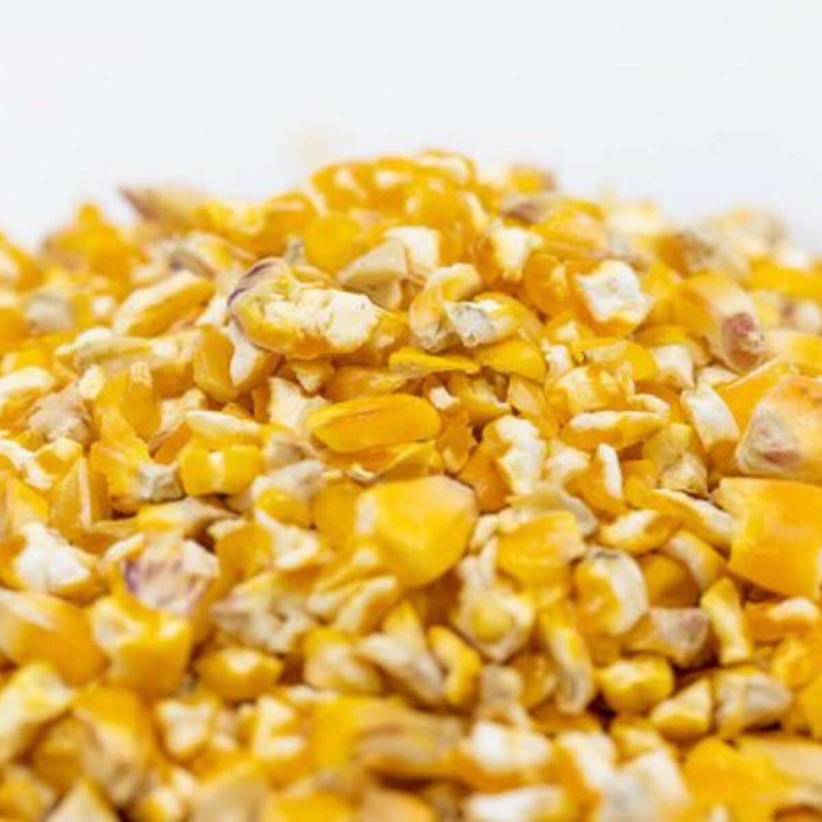 Futter-Mais grob strukturiert 25 kg
