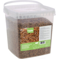 Mehlw&uuml;rmer 900g im Eimer