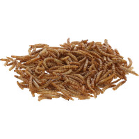 Mehlw&uuml;rmer 900g im Eimer