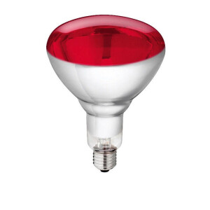 Philips Hartglas-Infrarotlampe, 150/250 W – einzeln oder im 10er-Karton