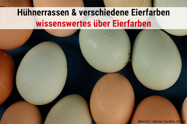 Bunte Eier & Eierfarben