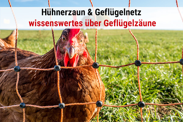 Hühnerzaun & Geflügelnetz
