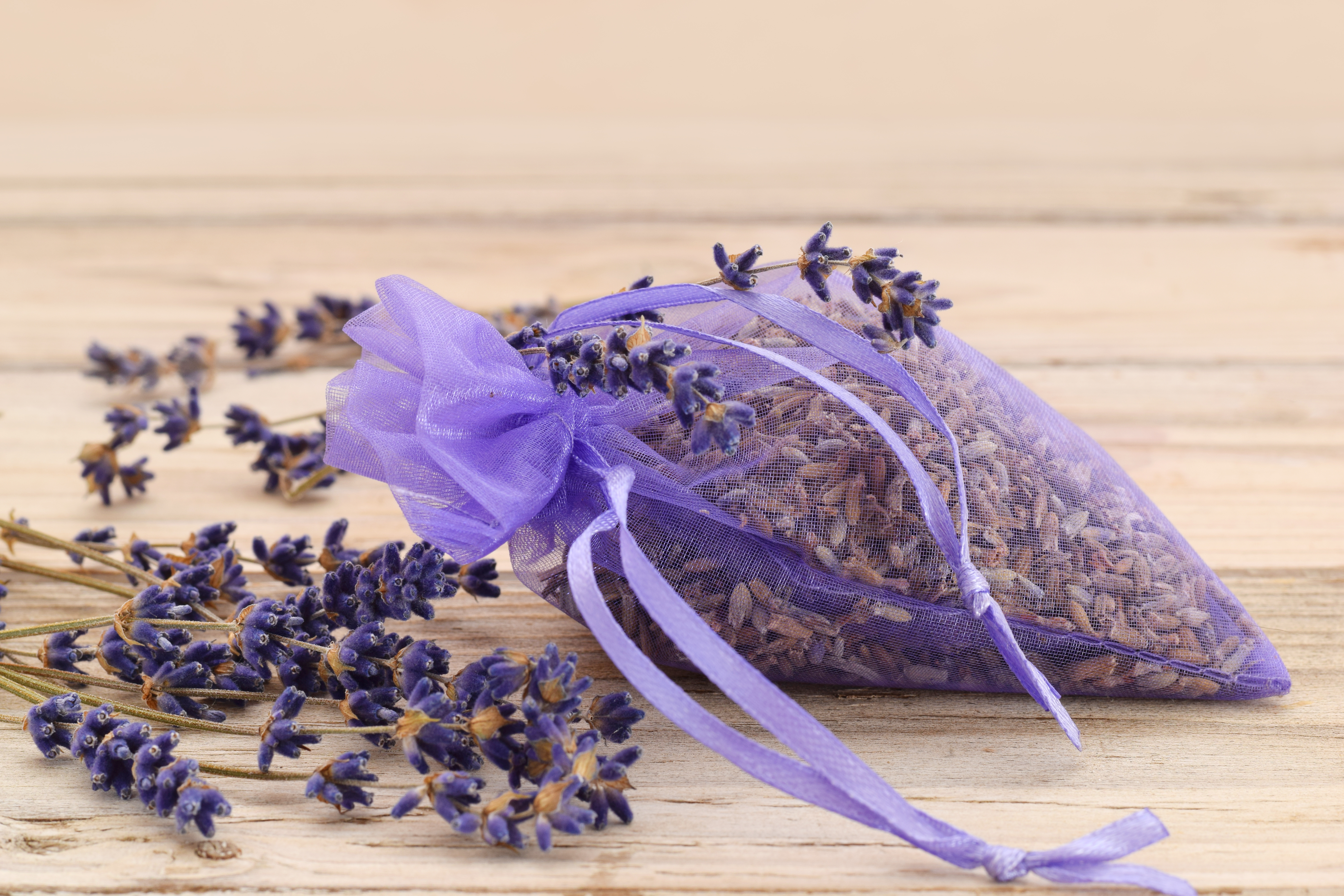 Lavendel im Säcken
