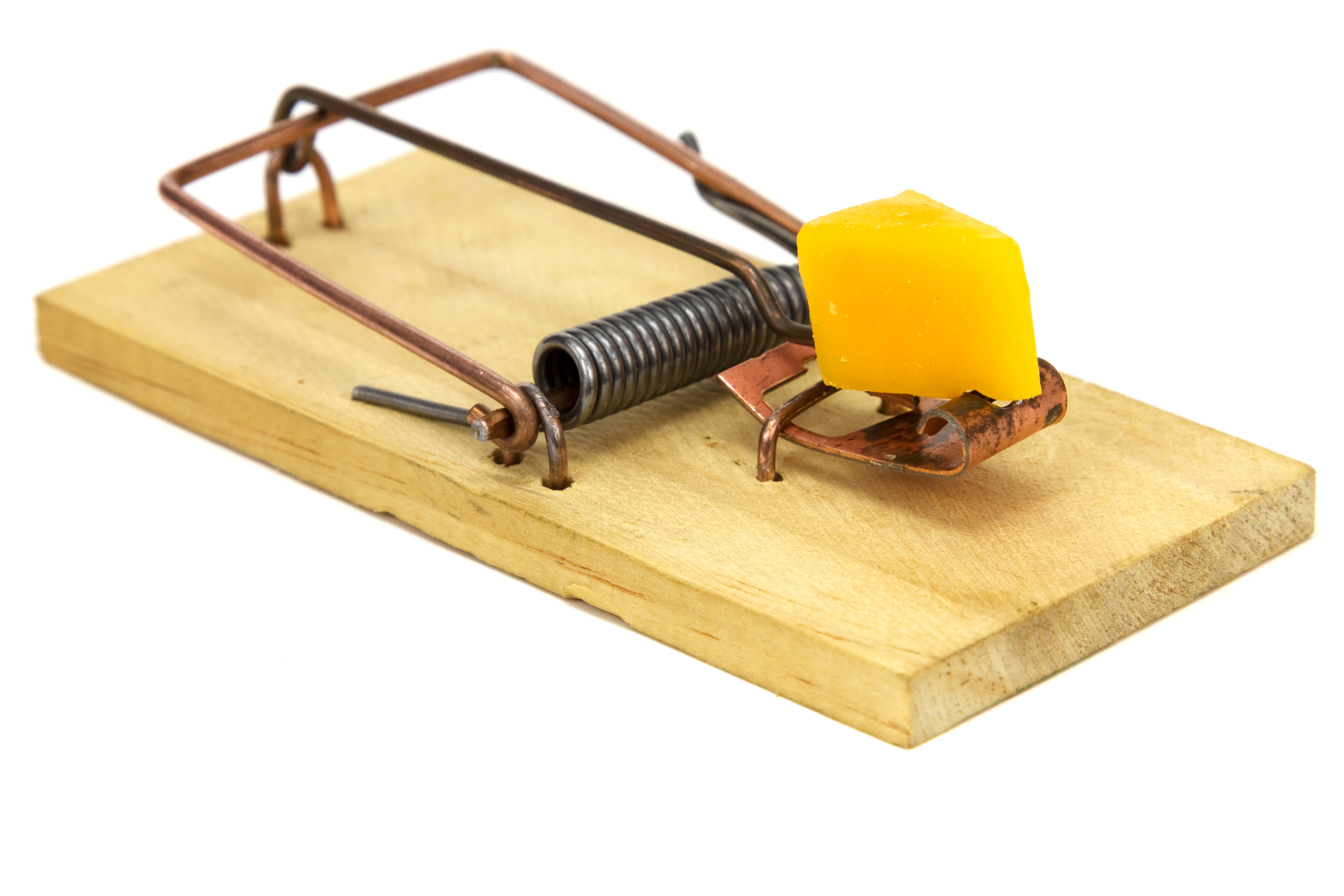 Schlagfalle mit Käse