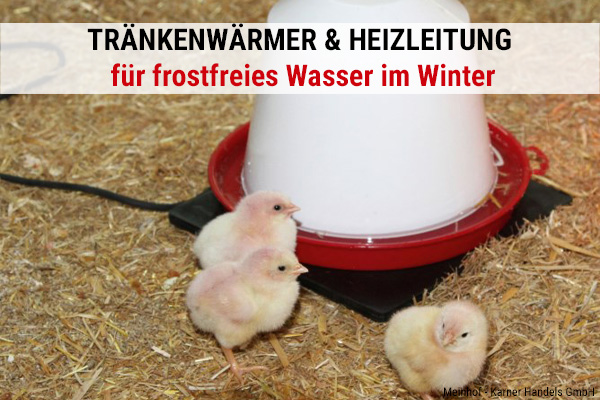 Tränkenwärmer & Frostschutz