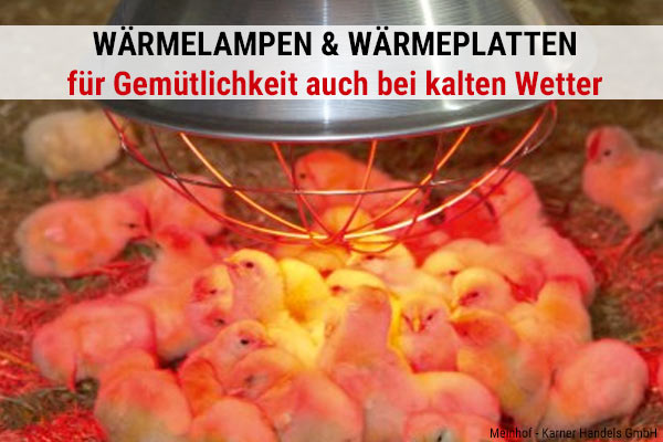 Wärmelampen & Wärmeplatten